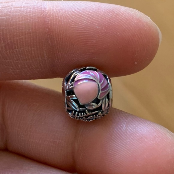 NWOT Disney Cheshire Cat Charm Alice In Wonderland Sterling Silver 925 - Picture 6 of 9